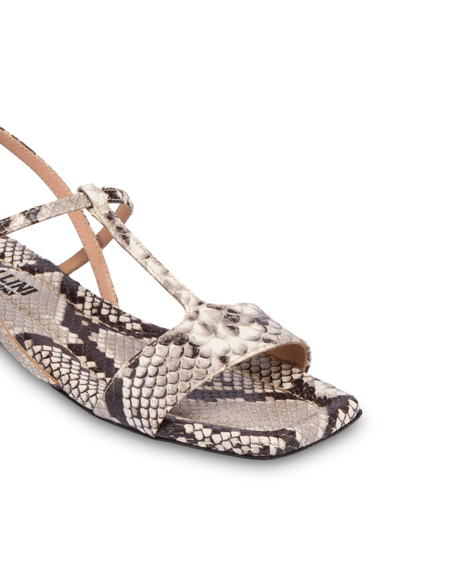 Between The Lines flat sandals in python-print calfskin Photo 4